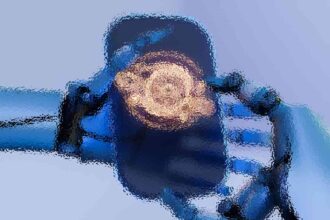 a1